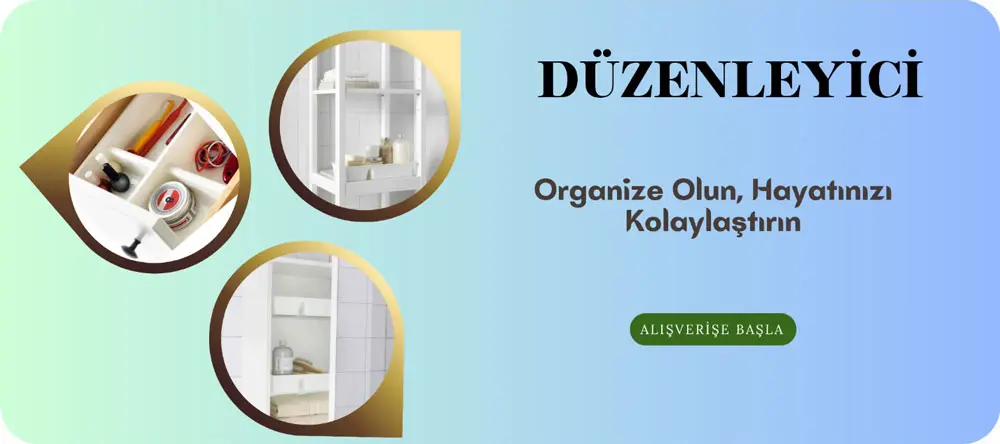 Düzenleyici